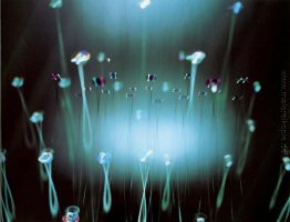 Doppel Diffraction