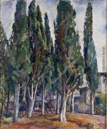 Krim. Zypresse. Krim. Zypresse.