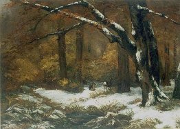 Hirsch Shelter im Winter