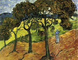 Landschaft mit Bäumen und Zahlen