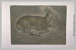 Skizze der jungen Hirsche