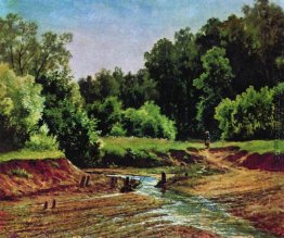 Waldlandschaft