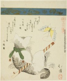 Katze spielt mit einem Spielzeug-Schmetterling Katze spielt mit einem Spielzeug-Schmetterling