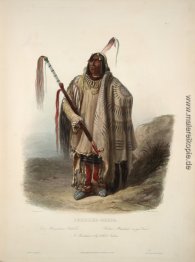 Ein Minatarre oder Big bellied indisch, Platte 17 von Band 2 der