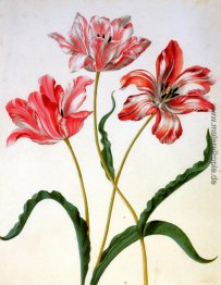 Unbekannter Titel Unbekannter Titel