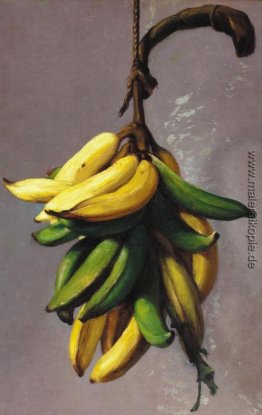 Plátanos amarillos 1893
