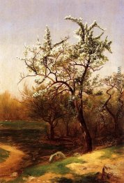 Birnen-Blüten