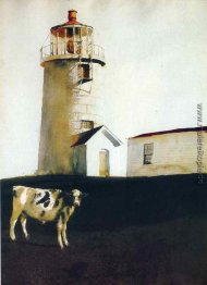 Insel Steer Insel Steer