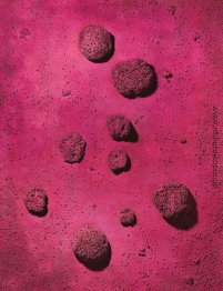 Le Rose du bleu (RE 22) Le Rose du bleu (RE 22)