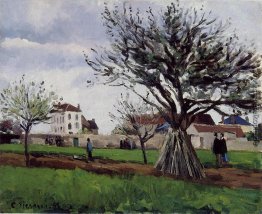 Apfelbäume in Pontoise