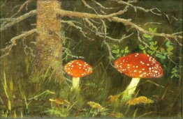 Toadstools unter dem Baum