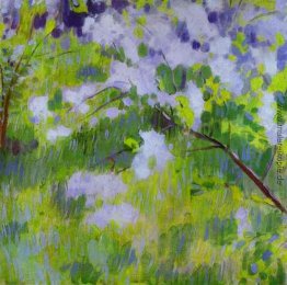 Kirschbäume in der Blüte