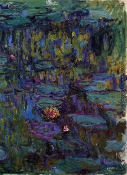 Wasserlilien