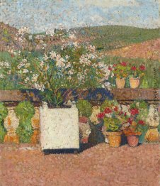 Rosen und Geranien auf der Terrasse des Marquayrol Rosen und Geranien auf der Terrasse des Marquayrol