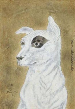  Weißer Hund, dunklen Kreis um ein Auge