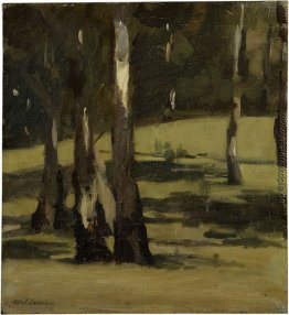 Schatten, Landschaft mit Bäumen