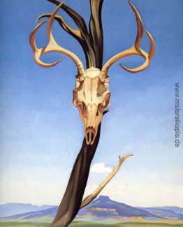 Deers Schädel mit Pedernal