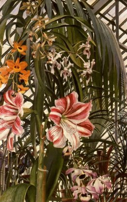 Orchideen, Lilien, Palms