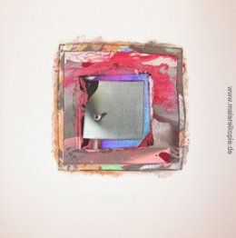 Fraktion # 1307 Fraktion # 1307