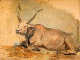 Roman Ox (Liegen)