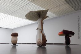 Riesen Dreibettzimmer Pilze