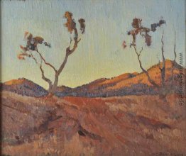 Abendlicht, Flinders Ranges, SA