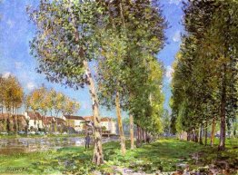 Die Lane von Pappeln am Moret auf Loing