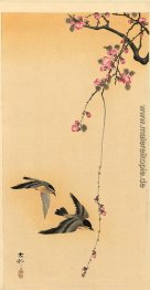 Kirschblüte mit Vögeln