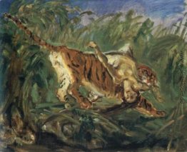Tiger im Dschungel