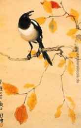 Eine Elster auf einem Ahornzweig. Eine Elster auf einem Ahornzweig.