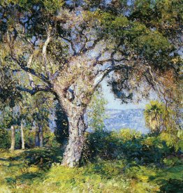 Das Oak