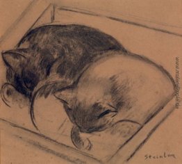 Zwei Schlafenkatzen-