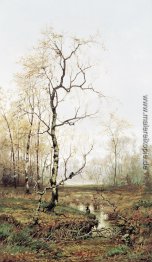 In Wald nach Frühling In Wald nach Frühling