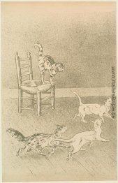 Katzen-Rennen Katzen-Rennen