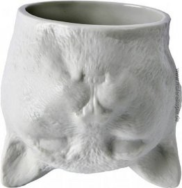 Katze