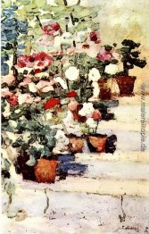 Blumen auf der Treppe