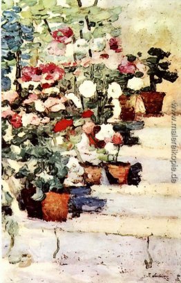 Blumen auf der Treppe