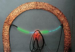 Auge von Guara
