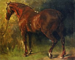 Die englische Pferd des M. Duval