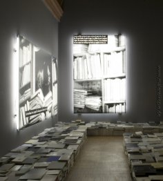 Das Phänomen der Bibliothek