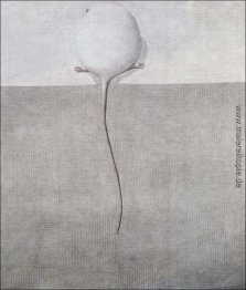 Souris Blanche sur la nappe Souris Blanche sur la nappe