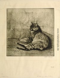 Katze schläft in einer Ecke Katze schläft in einer Ecke