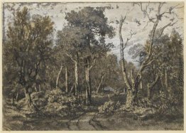 Die Eiche stürzte in den Wald von Fontainebleau