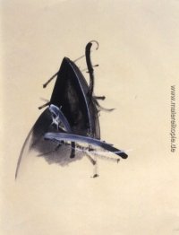 Untitled (Schmuck-Serie)