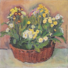 In den Korb Primmeln In den Korb Primmeln