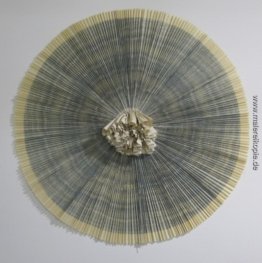 ciliary # 11