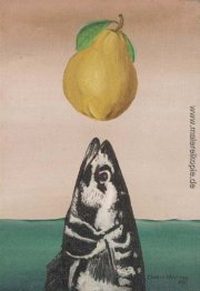 Kostenlose Verbände