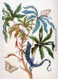 Unbekannter Titel Unbekannter Titel