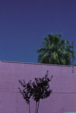 Urban Landscape, Phoenix