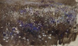 Blumenwiese